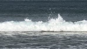 Spiaggia