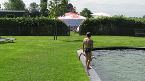 Außenpool, Naturpool, Liegestühle
