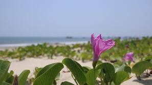 Private beach, white sand, beach towels