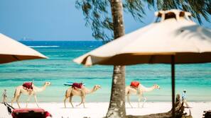 Plage privée, sable blanc, chaises longues, parasols