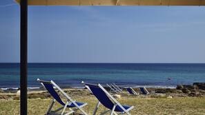 Sulla spiaggia, lettini da mare, ombrelloni, pallavolo