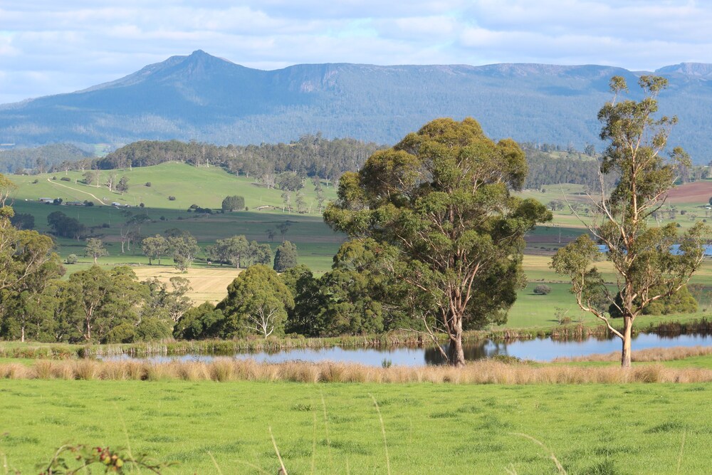 Mole Creek Guesthouse
