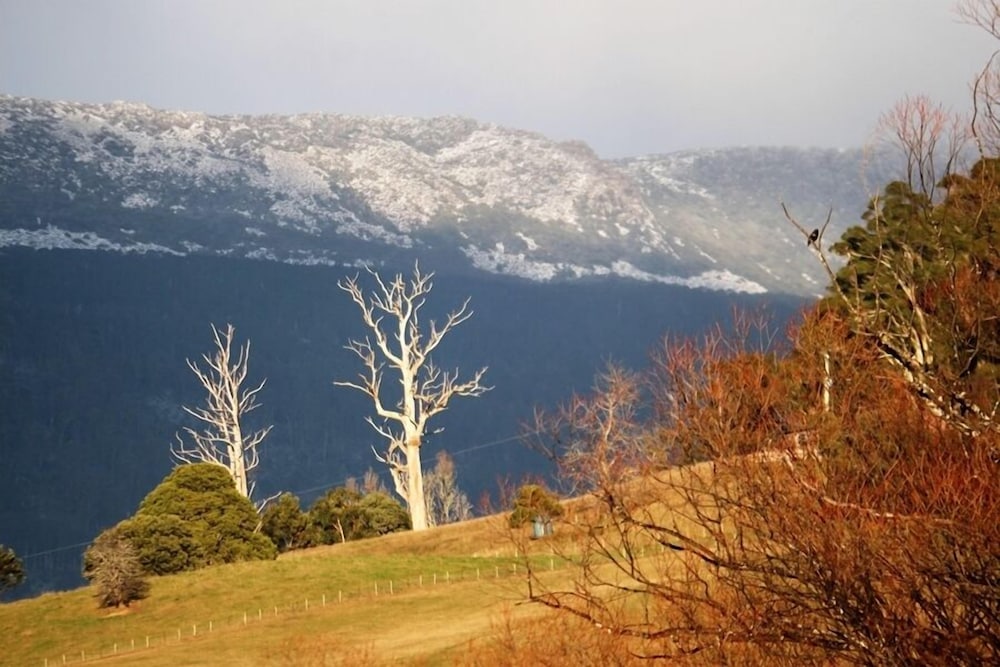 Mole Creek Guesthouse