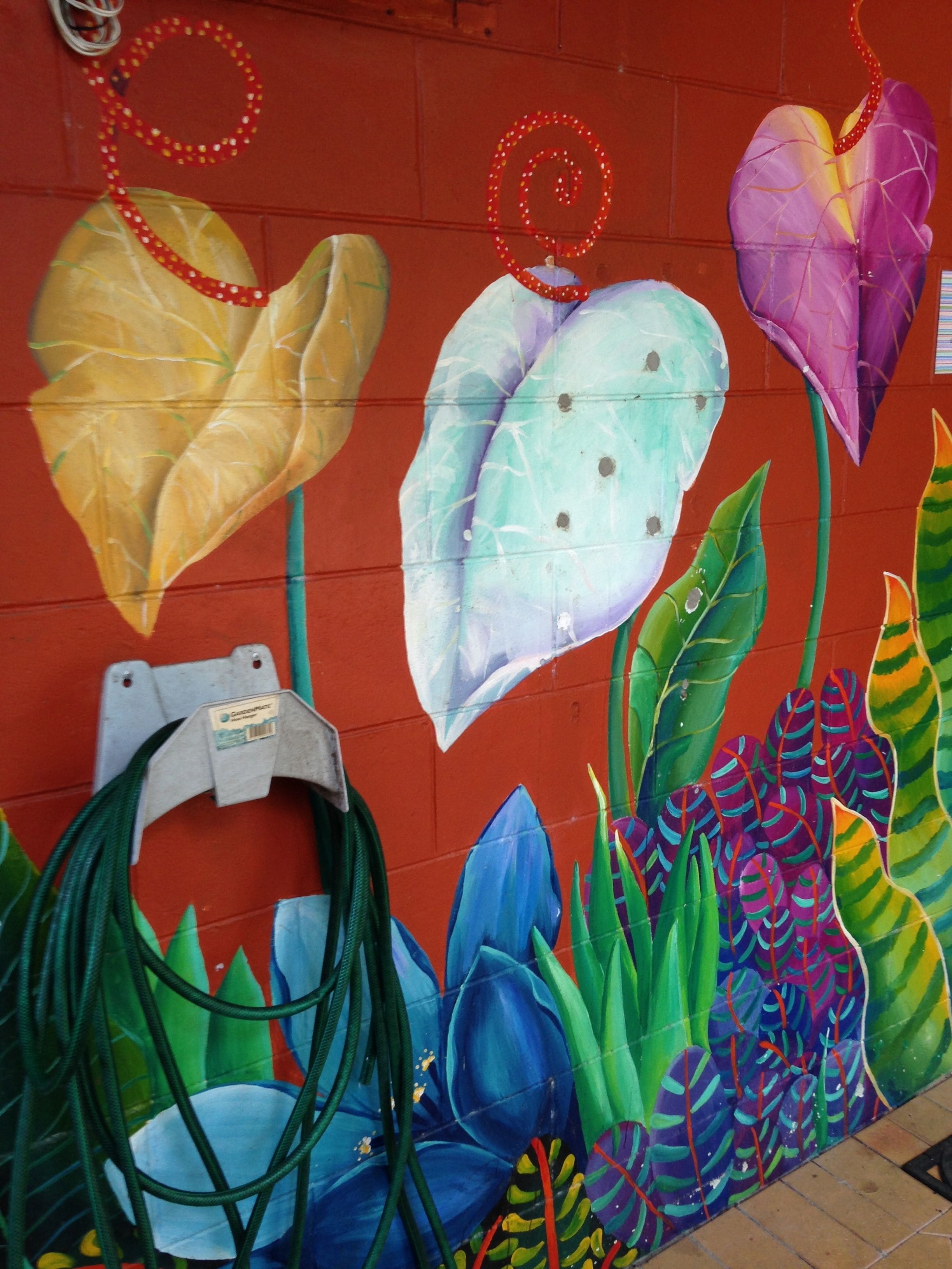 Dreamtime Travellers Rest Hostel