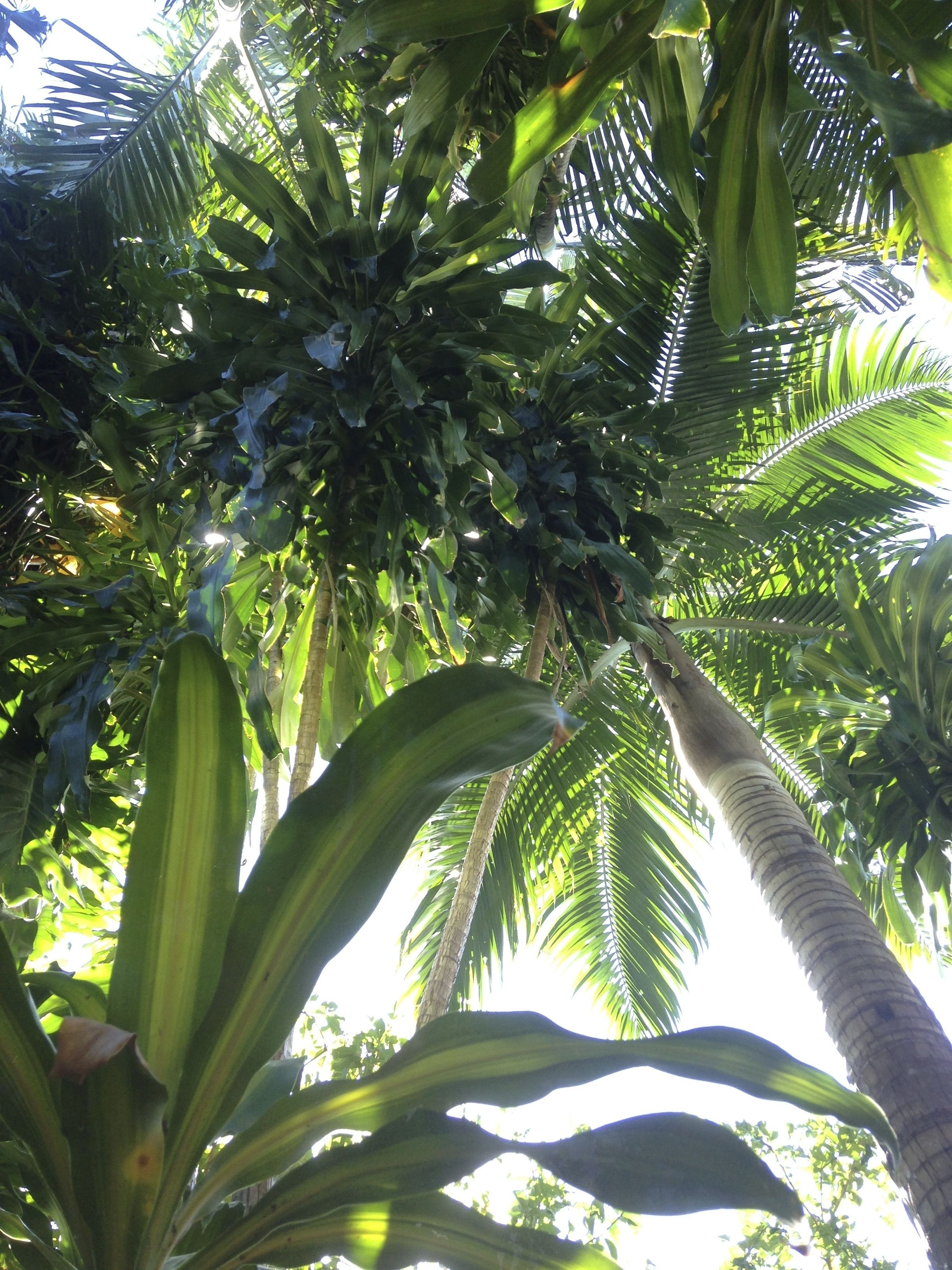 Dreamtime Travellers Rest Hostel