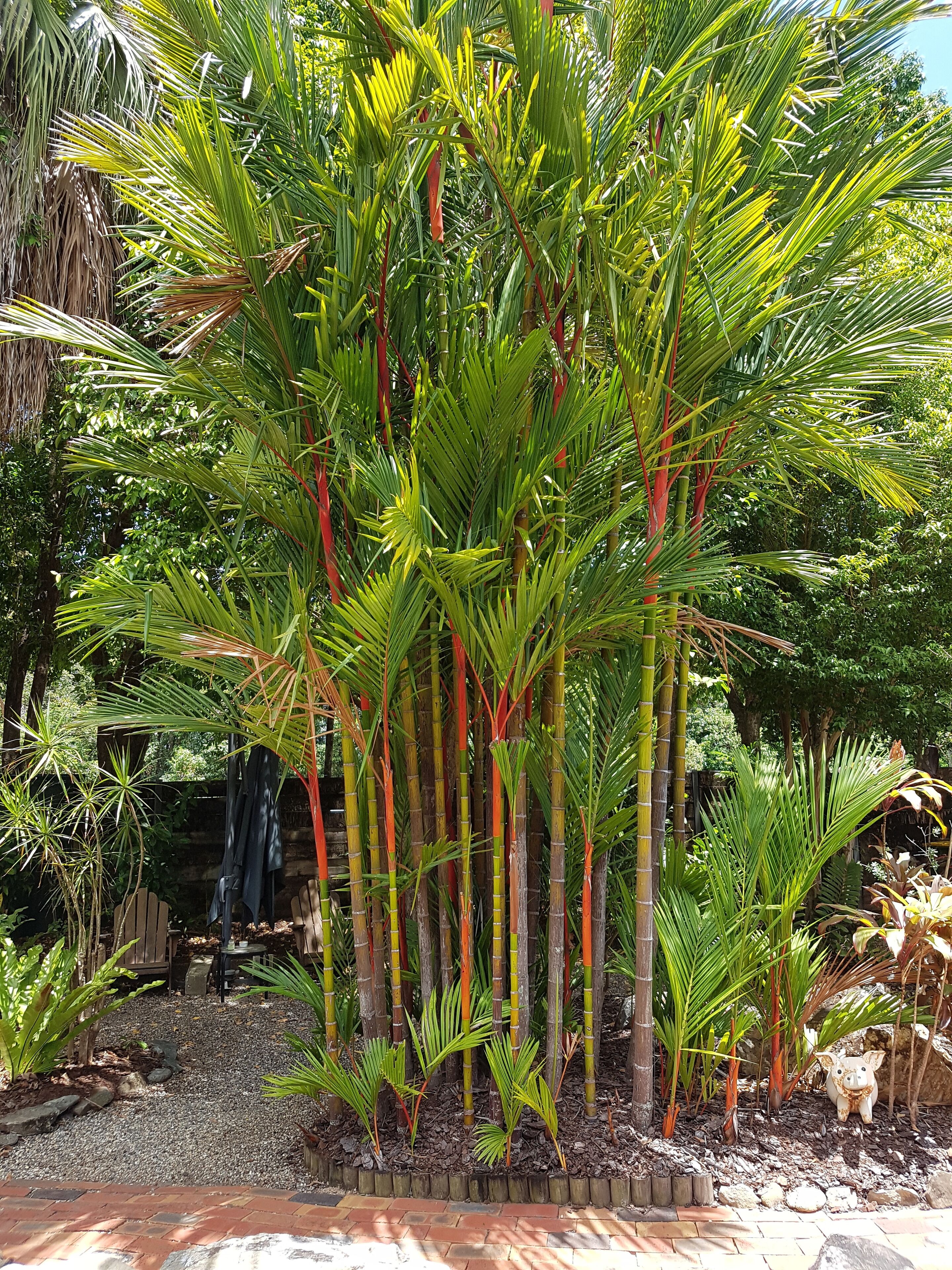 Lilybank Guest House