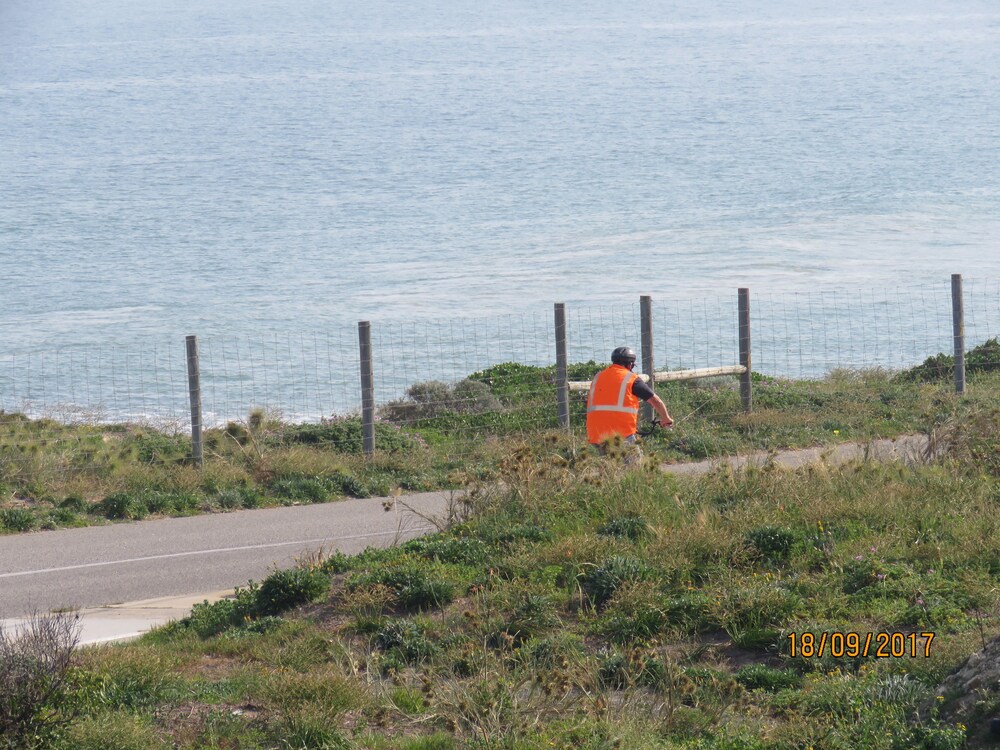Beach Front - The Wedge