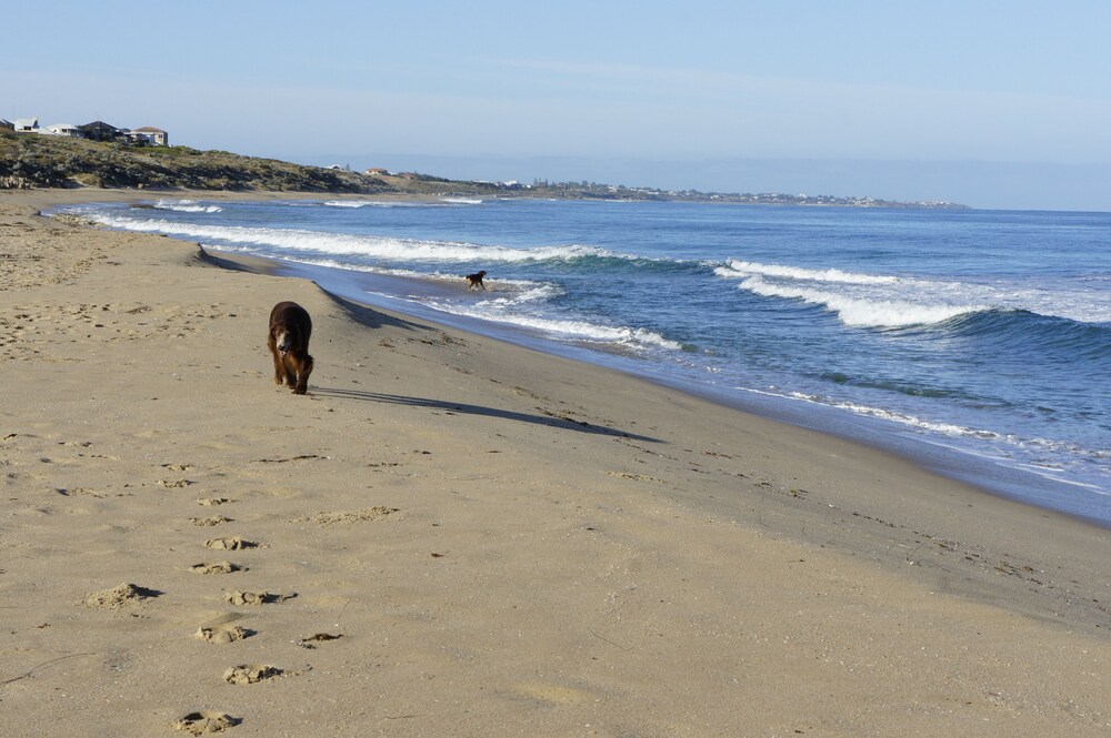 Beach Front - The Wedge