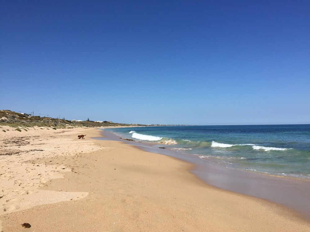 Beach Front - The Wedge