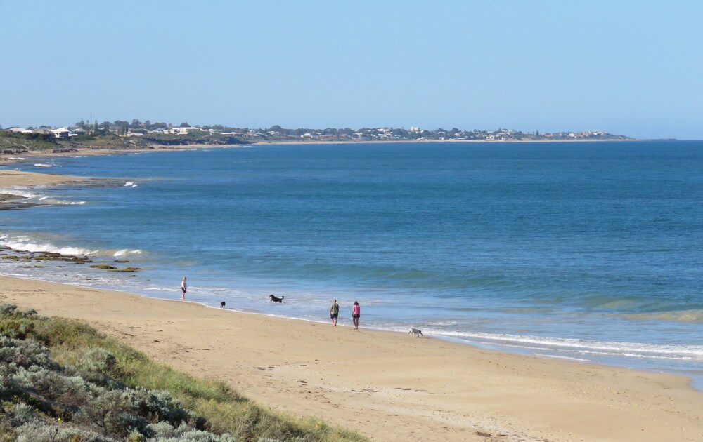 Beach Front - The Wedge