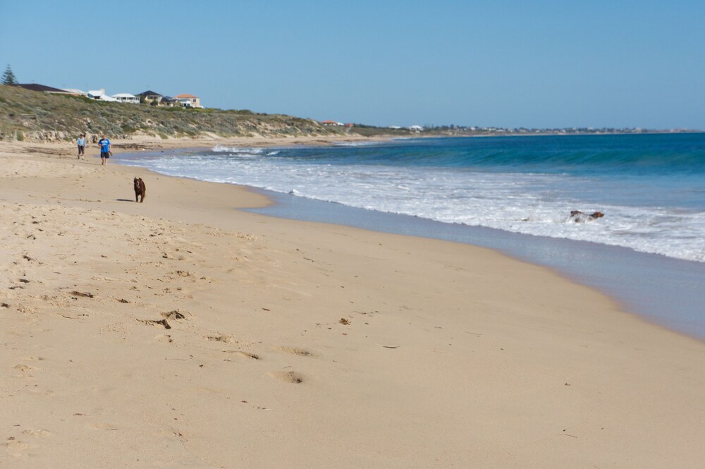 Beach Front - The Wedge