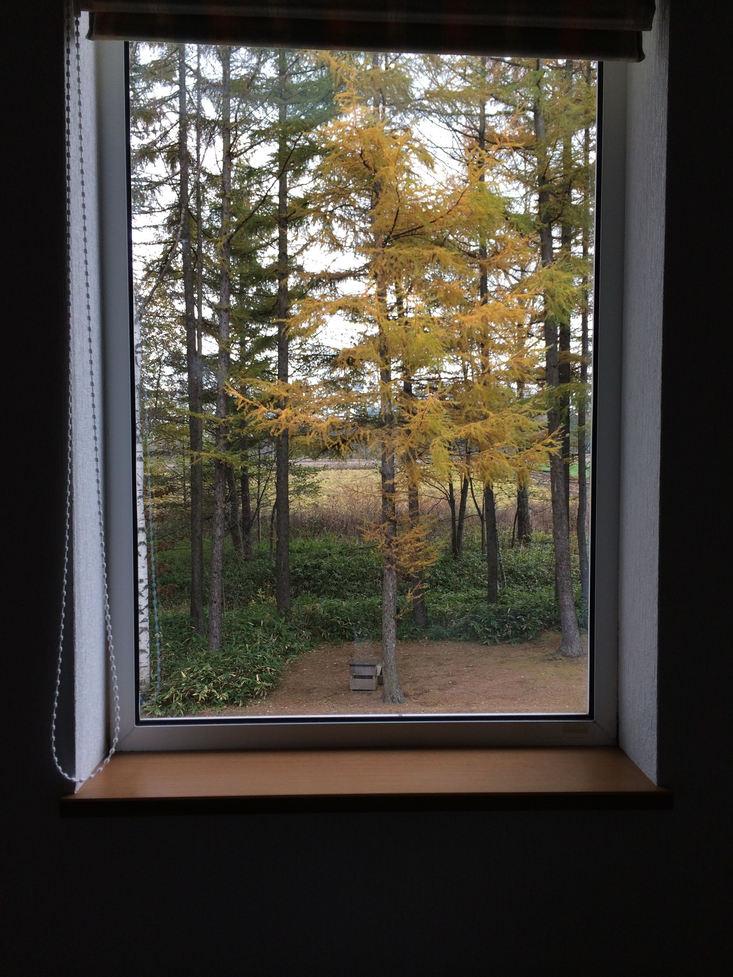 帯広八千代ユースホステル 口コミ 宿泊料金 写真 22 エクスペディア