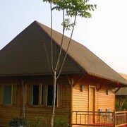 Cheap 4 Star Hotels In Dashuxia Find Cheap 4 Star Hotels - 