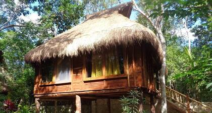 Casa Mango