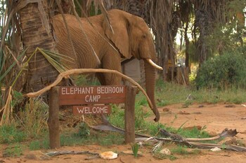 Elephant Bedroom Camp Muthaiga Travel Kenya S Leading Travel Agency