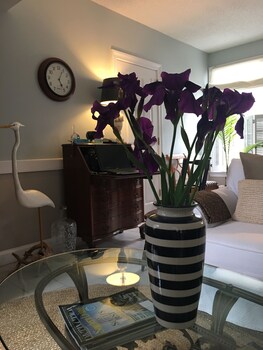 Barclay Cottage Bed And Breakfast Norfolk Virginia Beach 2020