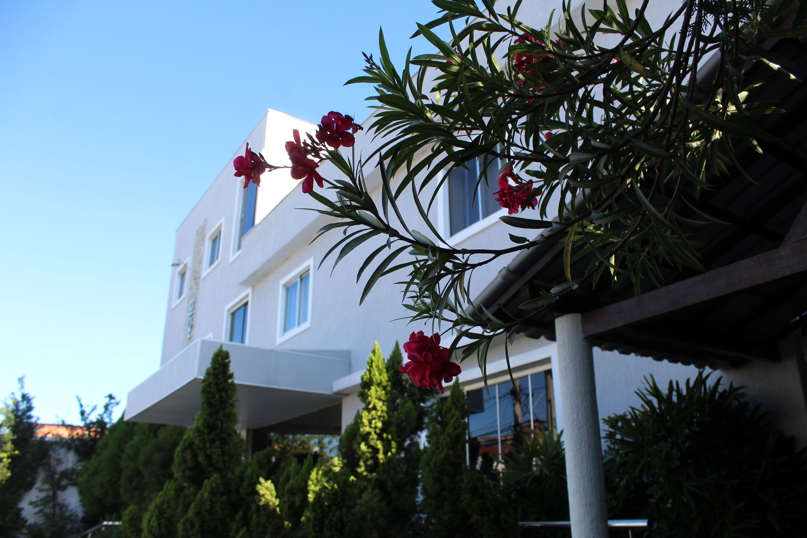 Hotel Montese Star in Fortaleza, Brazil