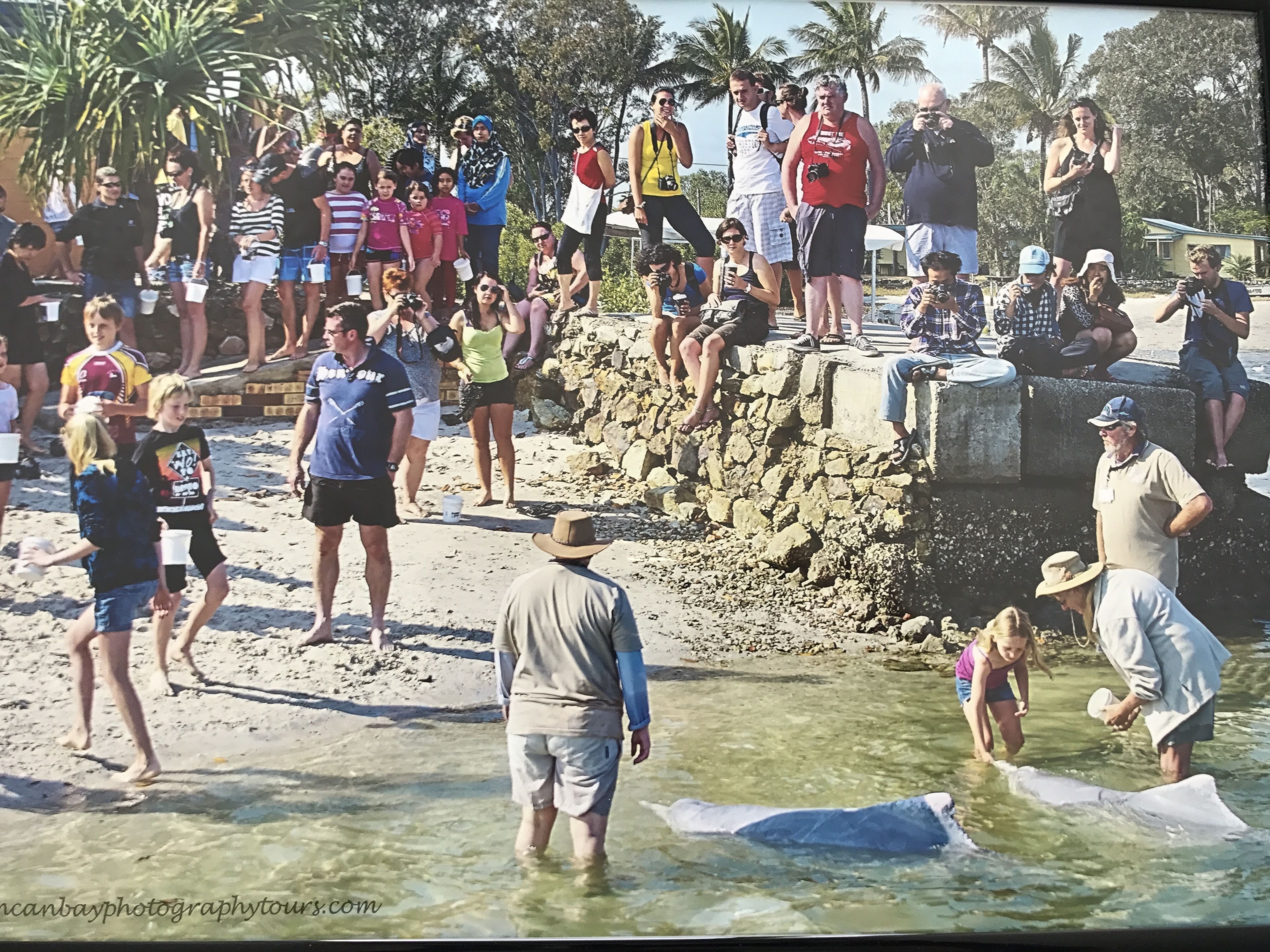 Tin Can Bay Budget Accommodation