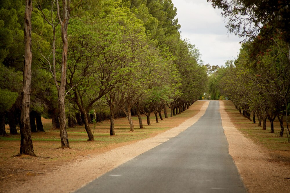 Renmark Resort