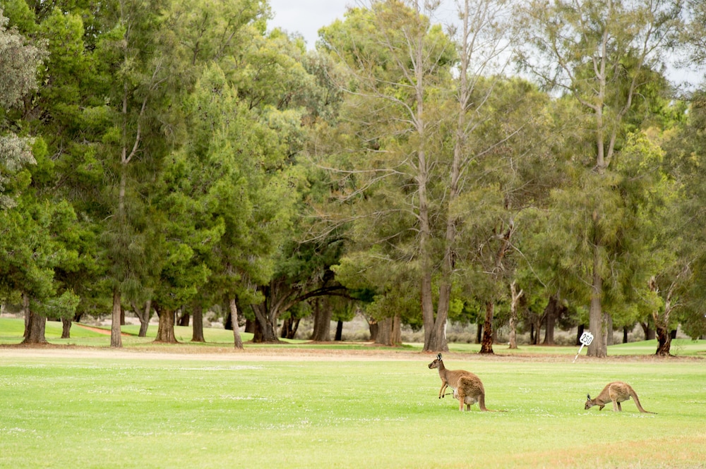 Renmark Resort