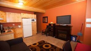 TV, fireplace, DVD player