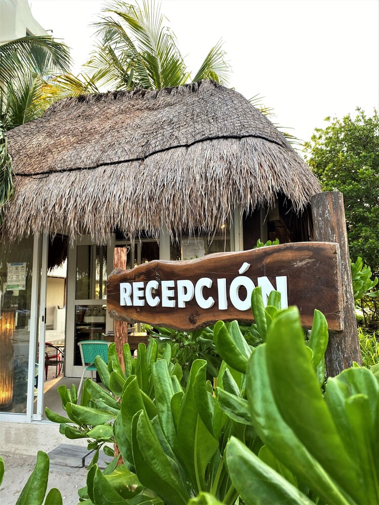 El Hotelito Mahahual