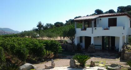 Agriturismo B&B Domo De Resteblas