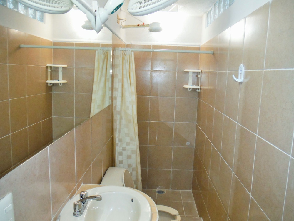 Foto - Tulipanes Cancun