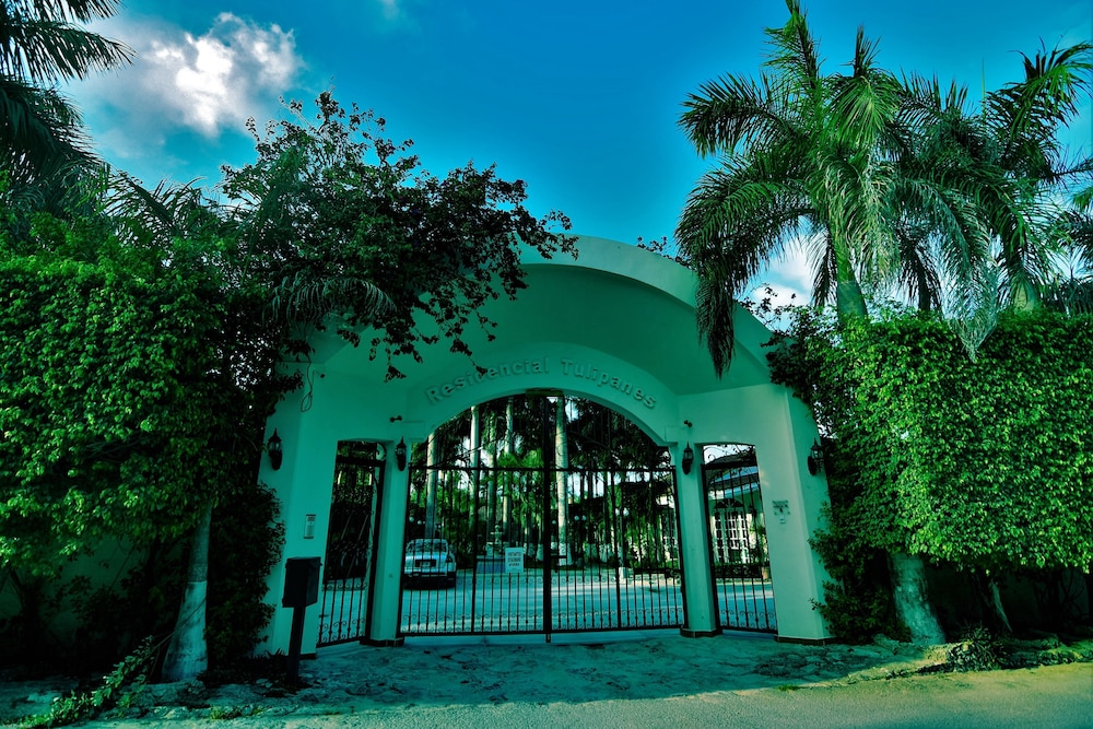 Foto - Tulipanes Cancun