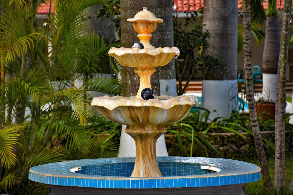 Foto - Tulipanes Cancun