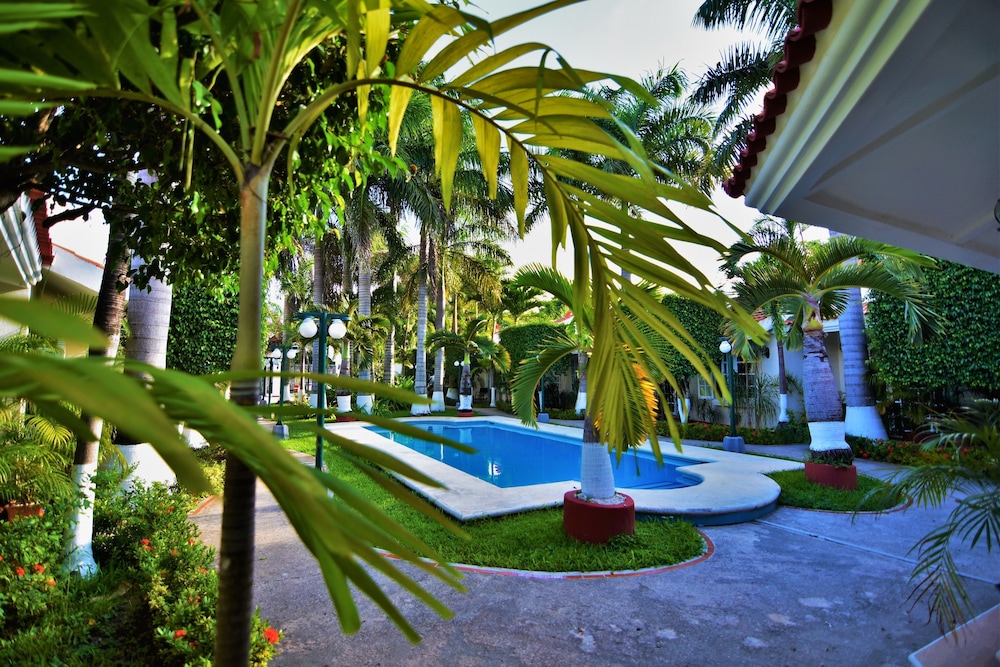 Foto - Tulipanes Cancun