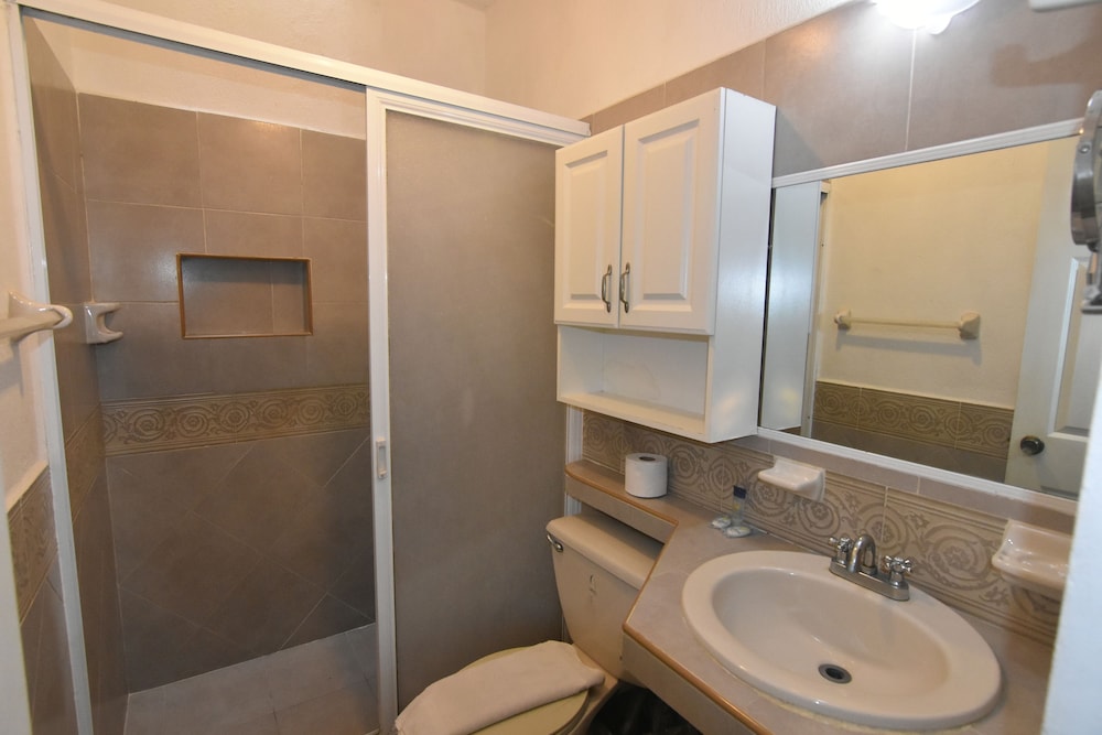 Foto - Tulipanes Cancun