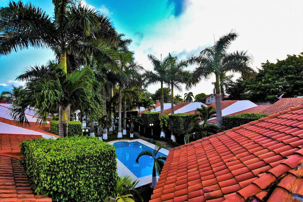 Foto - Tulipanes Cancun