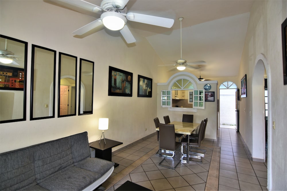 Foto - Tulipanes Cancun