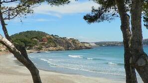 Plage à proximité, sable blanc