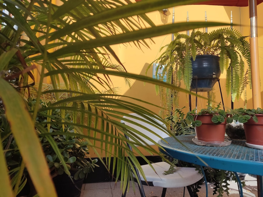 Photo - Kontiki Miraflores