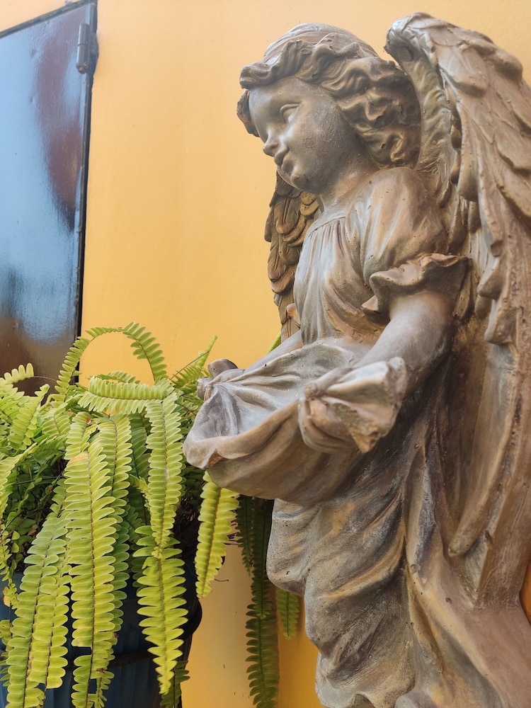 Photo - Kontiki Miraflores