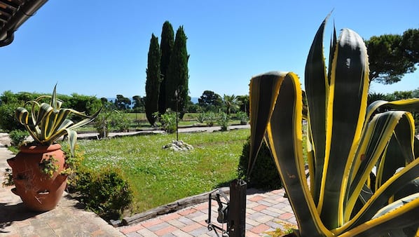 Parco della struttura