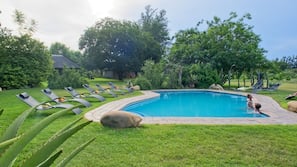 Piscine extérieure, chaises longues