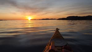 Nära stranden