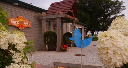 Duck Pond Bed & Breakfast Cottage