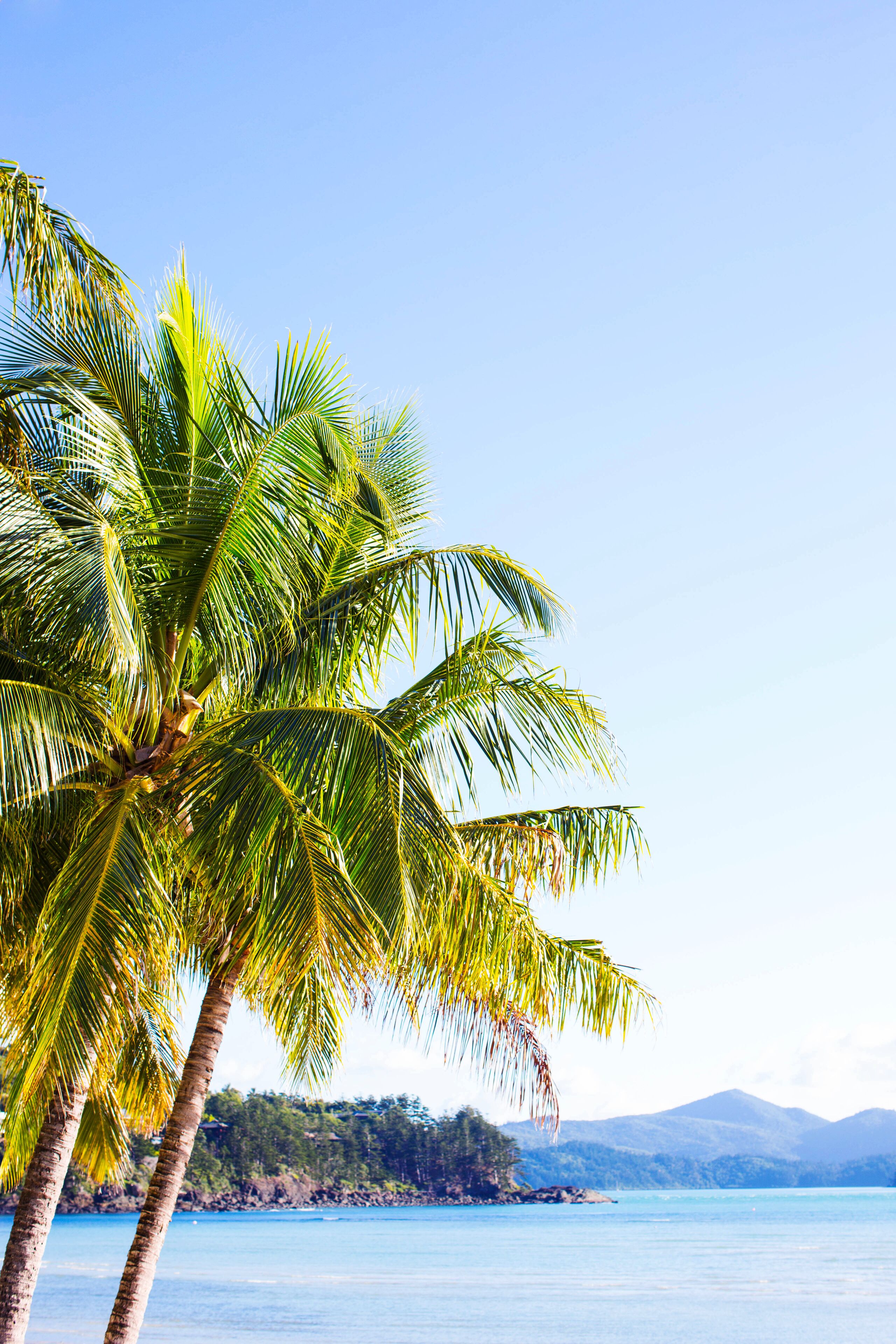 Hamilton Island Holiday Homes