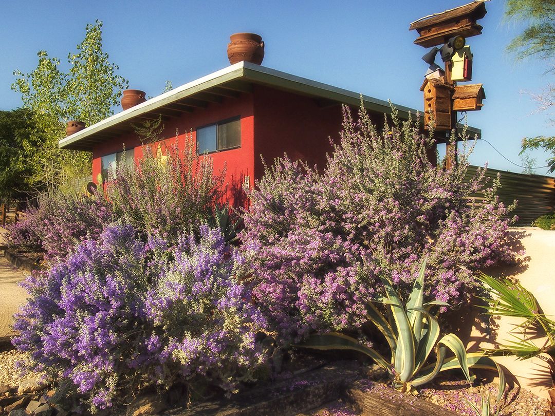 Spin and Margie's Desert Hideaway in Twentynine Palms, United States