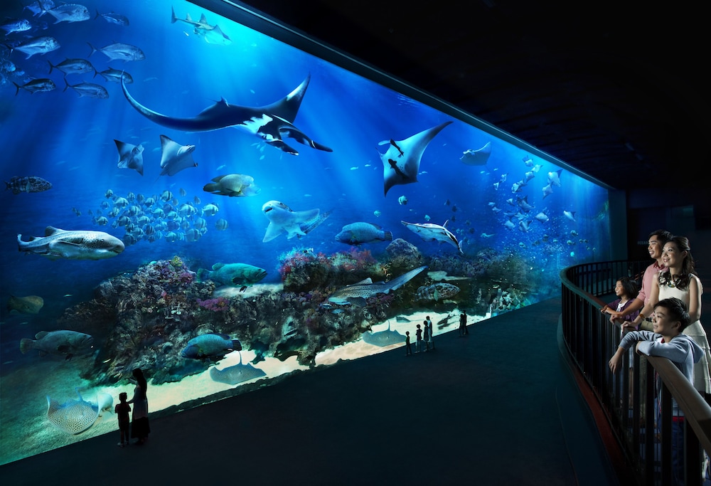 Resorts World Sentosa Genting Hotel Jurong Sg Clean In Singapore Hotel Rates Reviews On Orbitz Resorts World Sentosa Genting Hotel Jurong Sg Clean In Singapore Hotel Rates Reviews On Orbitz