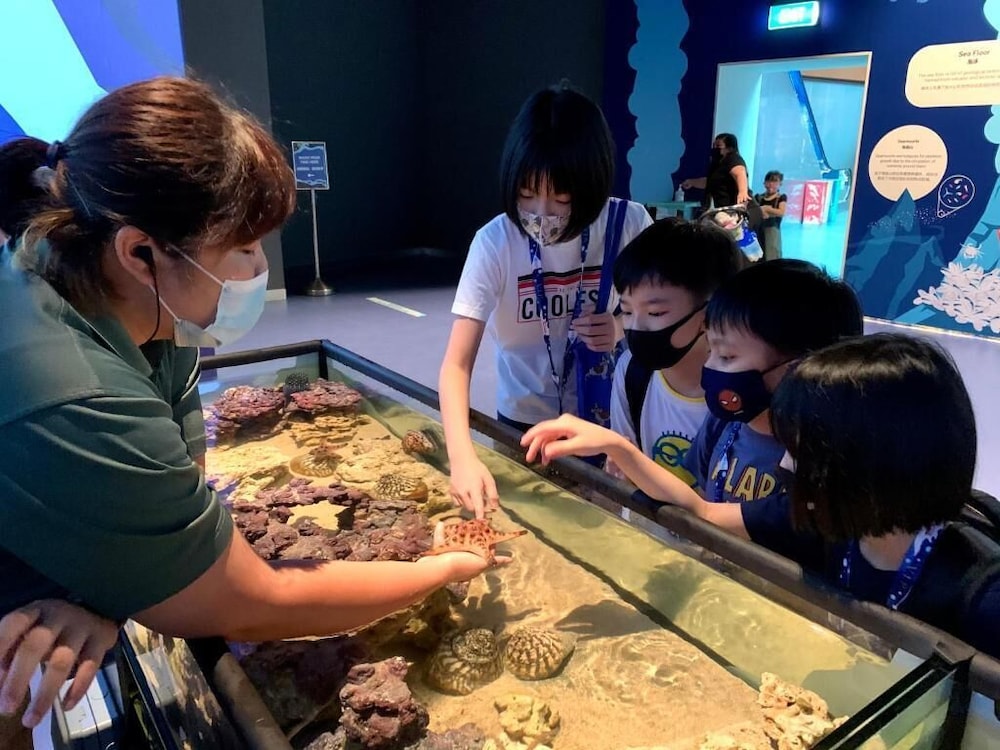 Resorts World Sentosa Genting Hotel Jurong Sg Clean In Singapore Best Rates Deals On Orbitz