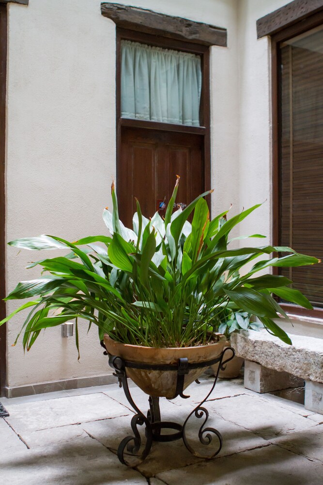 Foto - Casa Montalbán Apartamentos Turísticos