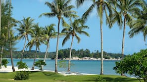 Beach nearby, white sand