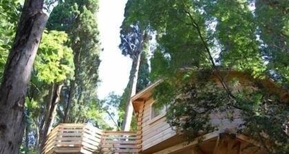 Hotel Les Cabanes Dans Les Bois