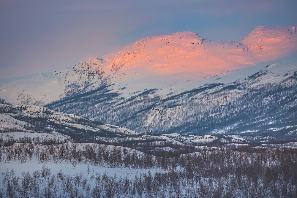 Abisko Guesthouse  & Activities