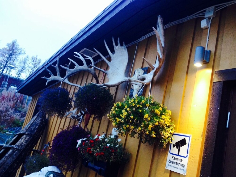 Abisko Guesthouse  & Activities